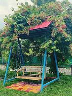 SereniTea Chaya By GRB