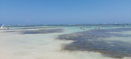 Cabañas Palmeras de Mahahual