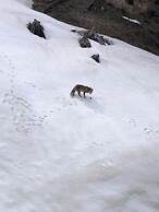 Appartamento Vacanze Sestriere