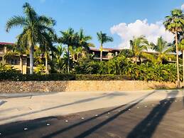 El Tigre Isla Palmares