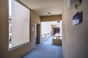 El Tigre Isla Palmares