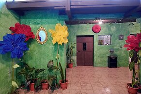 Wonderland Hostel