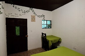 Wonderland Hostel