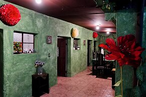 Wonderland Hostel