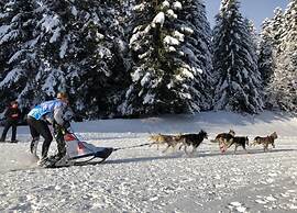 Apartment in Doucy Near Ski Slopes
