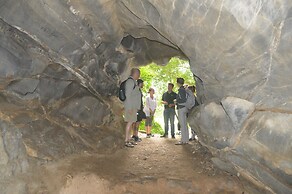 Viet Hai freedom home stay