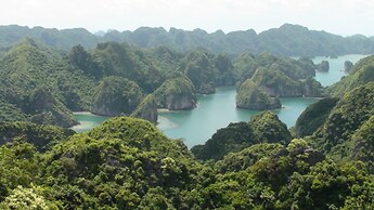 Viet Hai freedom home stay