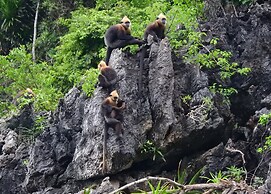 Viet Hai freedom home stay