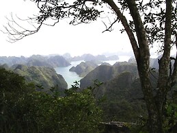 Viet Hai freedom home stay