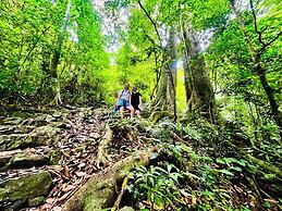 Viet Hai freedom home stay