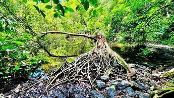 Viet Hai freedom home stay