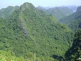 Viet Hai freedom home stay