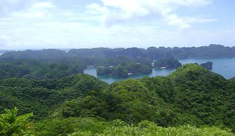 Viet Hai freedom home stay