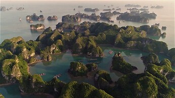 Viet Hai freedom home stay