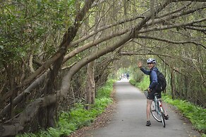 Viet Hai freedom home stay