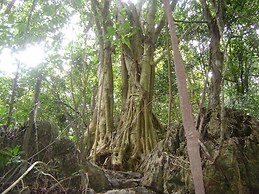 Viet Hai freedom home stay