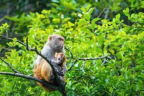 Viet Hai freedom home stay