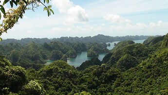 Viet Hai freedom home stay