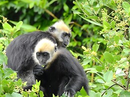 Viet Hai freedom home stay