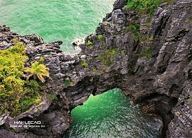 Viet Hai freedom home stay