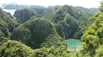 Viet Hai freedom home stay