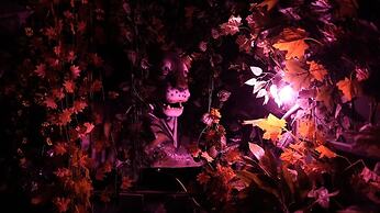 I-ROOMZ SSB Kingdom - Water Kingdom in Cuttack