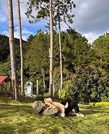 Scent House - Village