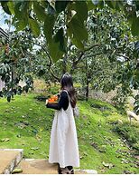 Scent House - Village