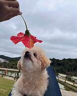 Scent House - Village