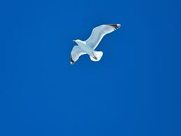 The Horizon Sea View Suite