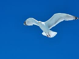 The Horizon Sea View Suite