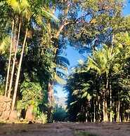 Pousada Contempla Joanópolis