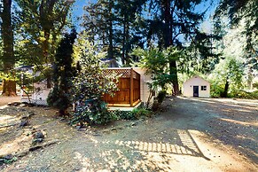 Rouge Cobb Mountain Cabins