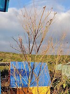 Homestay Wooden House Măng Đen
