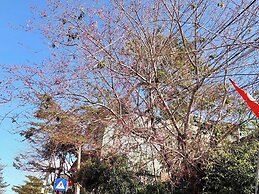 Homestay Wooden House Măng Đen