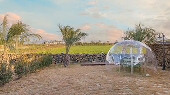 Jeju Boutia Private Pension