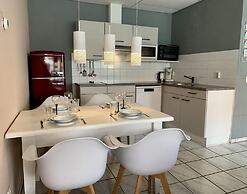 Ground-floor Apartment in Petten in Centre