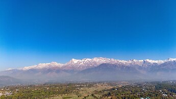Seclude Tea Estate Palampur