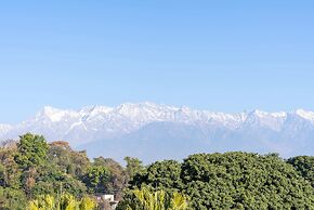 Seclude Tea Estate Palampur