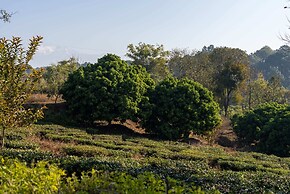 Seclude Tea Estate Palampur