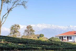Seclude Tea Estate Palampur
