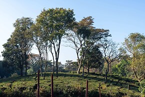Seclude Tea Estate Palampur