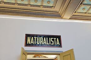 Rare Large and Elegant Rome Apartment in Prati Neighborhood Perfect fo