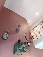 Cha Cha de Loup B&B - Vakantiewoning