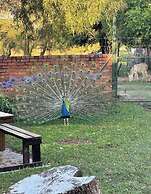 Kings View Exclusive Villas