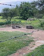 Kings View Exclusive Villas