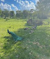 Kings View Exclusive Villas