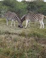 Kings View Exclusive Villas