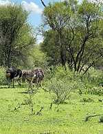 Kings View Exclusive Villas