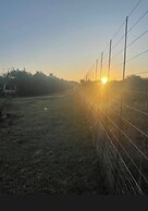 Kings View Exclusive Villas